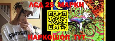 шишки Можга