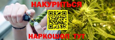 шишки Можга
