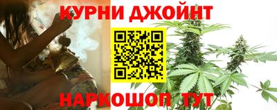 шишки Можга
