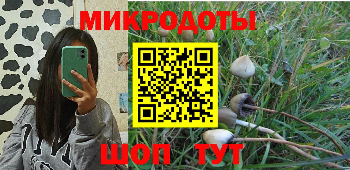 Галлюциногенные грибы GOLDEN TEACHER  Вход с VPN  Галлюциногенные грибы Magic Shrooms  где купить   Грозный 